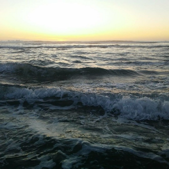 Meet your Posher, Shannon - Picture 6 of 8